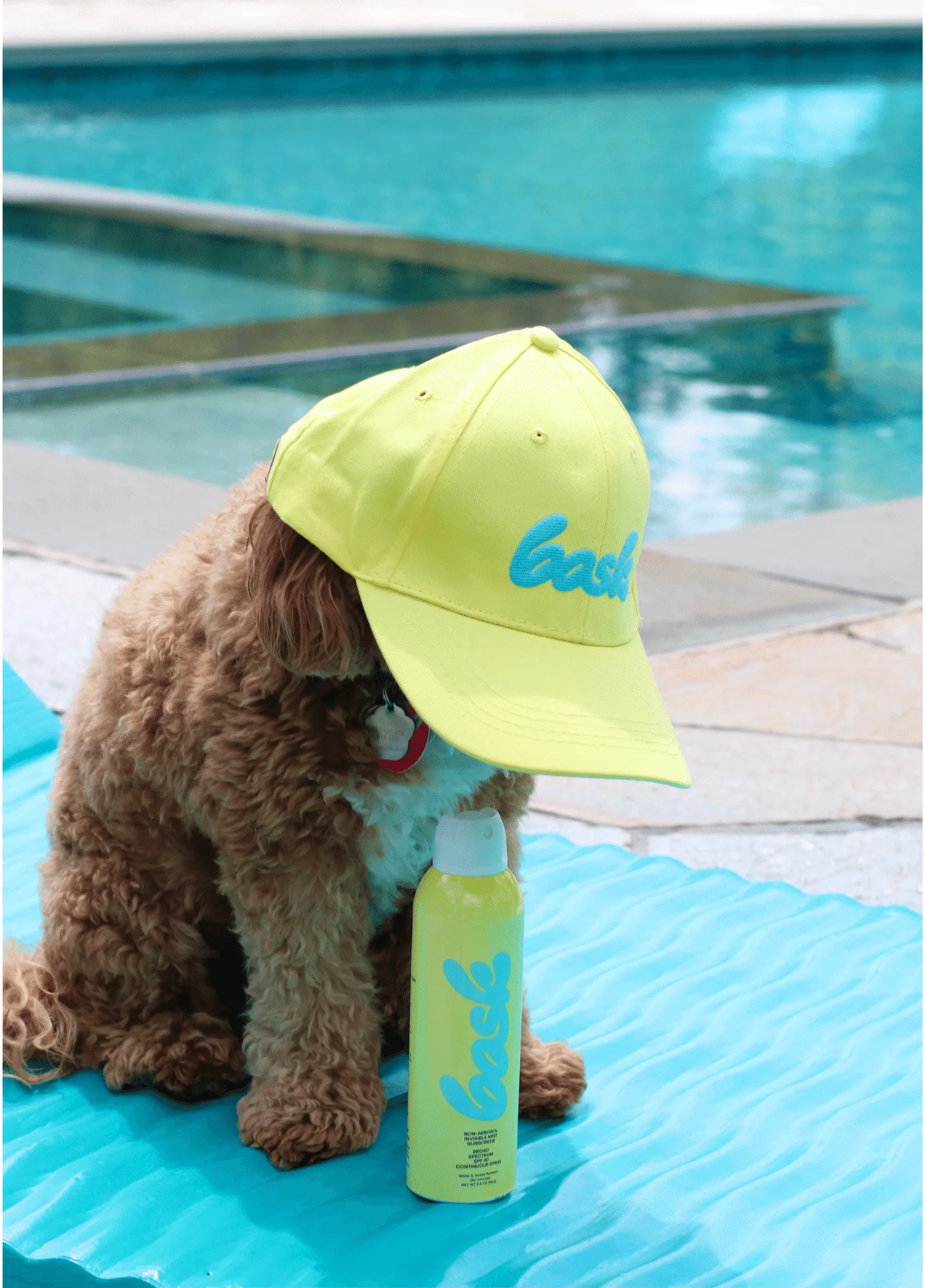 The Bask Dad Hat - Image 3