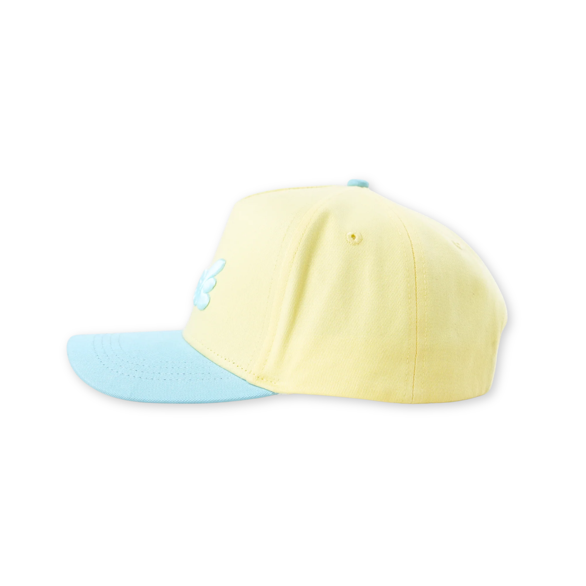 The Bask Vintage Snapback Hat - Image 3